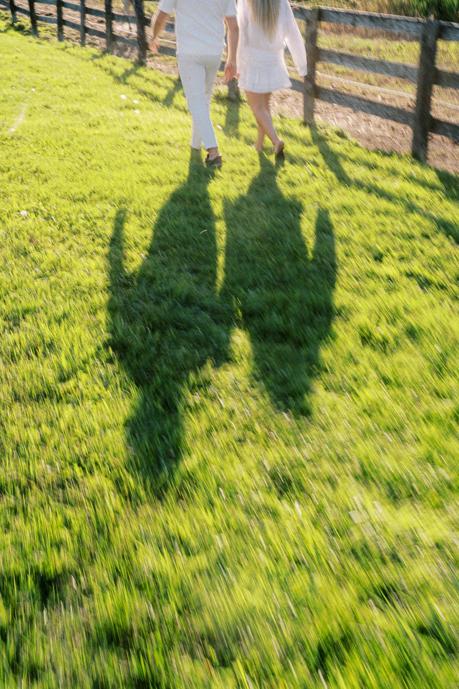 A couple walking hand in hand through a sunlit grassy field with shadows cast on the ground, next to a wooden fence.
