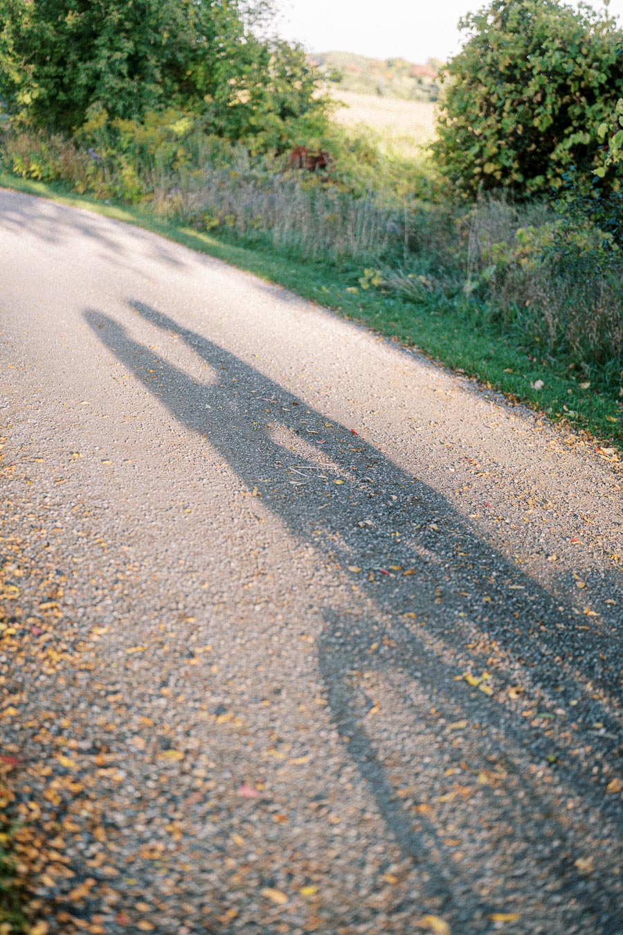 Shadows of a person on a rural road bordered by green trees on a sunny day, with scattered autumn leaves on the ground.