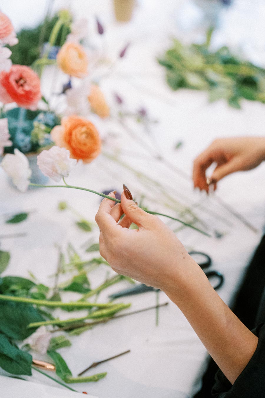 Close-up of a person's hands carefully arranging a variety of colorful flowers on a white tablecloth, including orange and pink blooms, surrounded by green foliage and gardening tools, showcasing a floral design or flower arranging process.