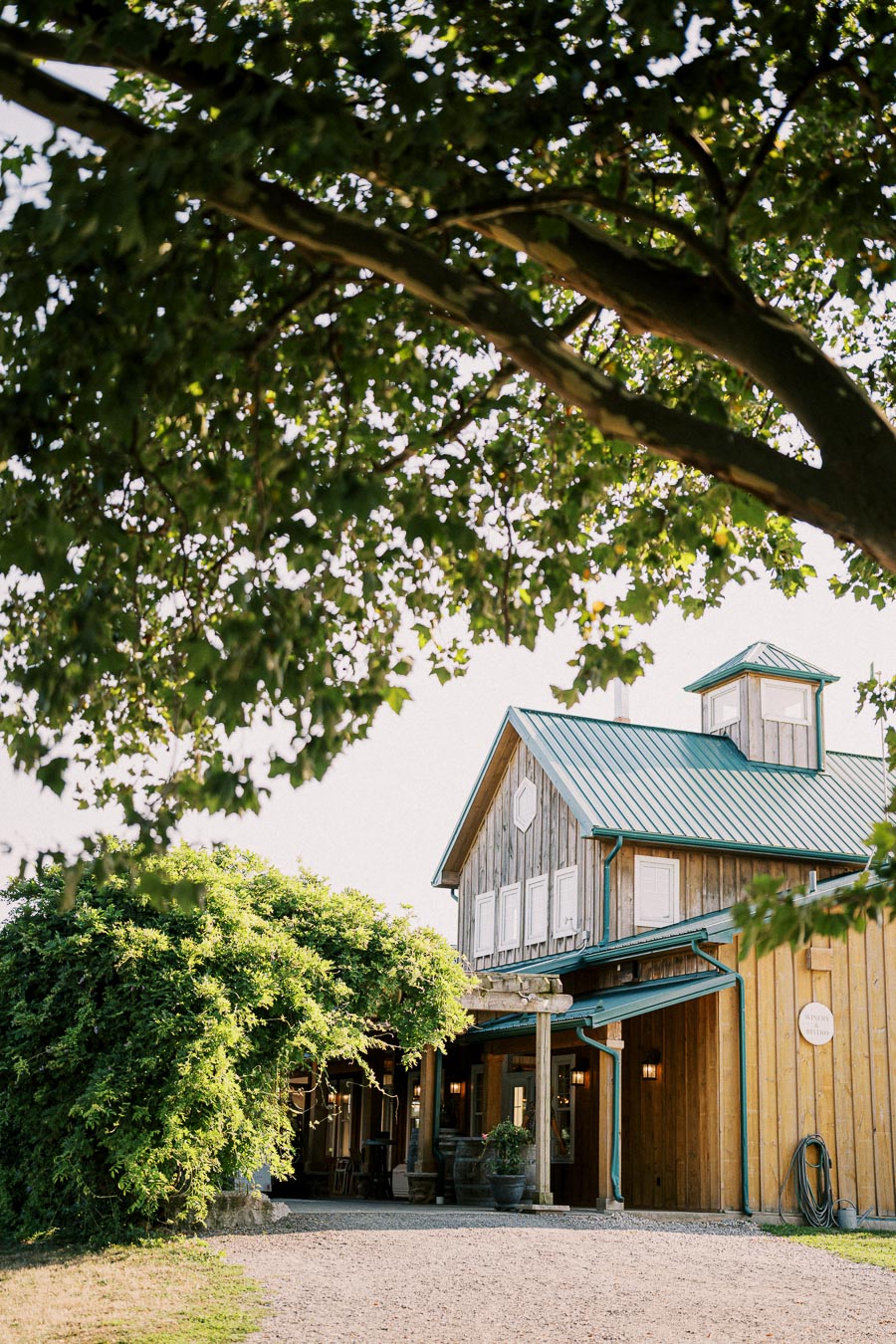 Rustic wooden barn with a green metal roof surrounded by lush greenery, under a tree canopy on a sunny day.