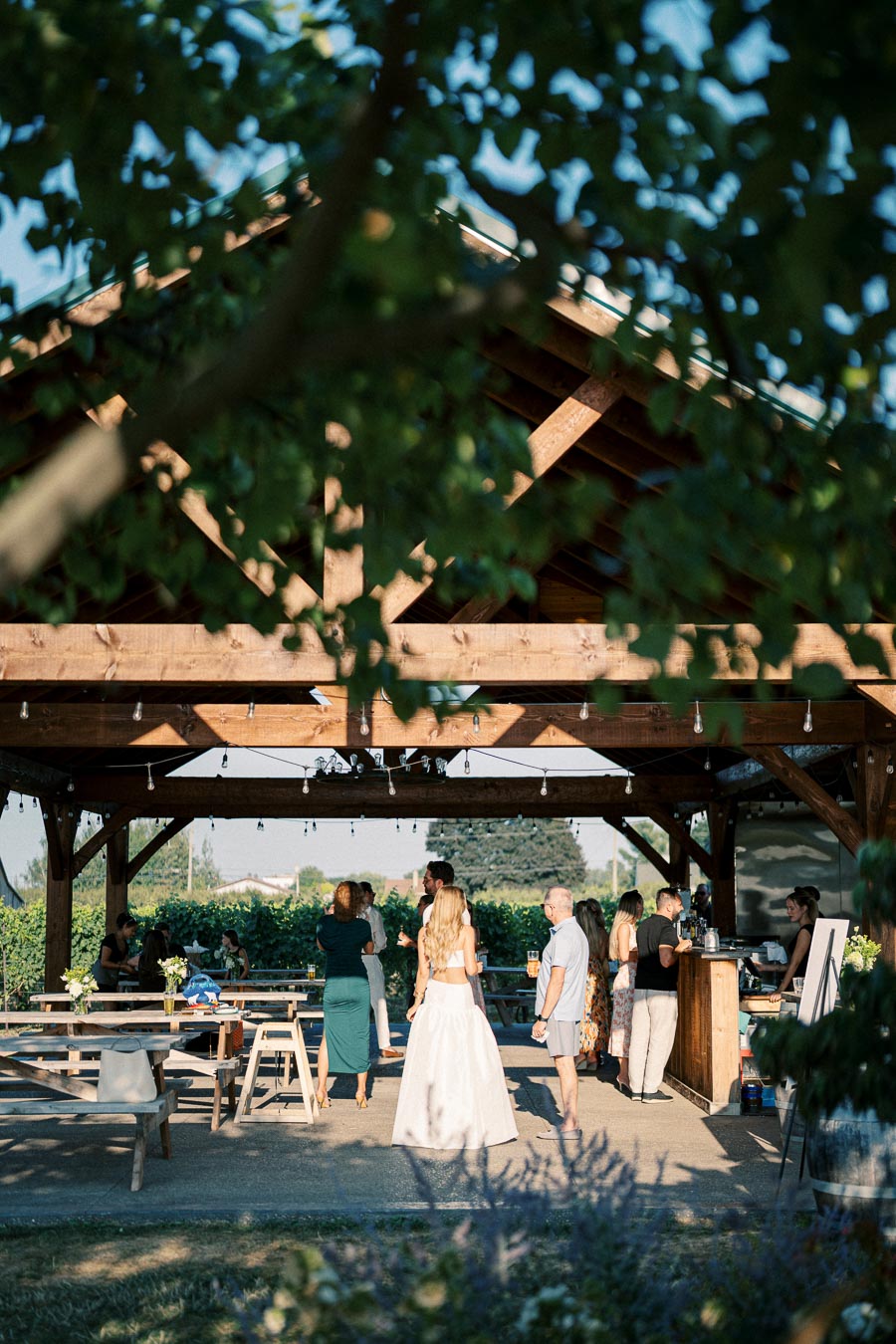 A rustic outdoor wedding reception under a wooden pavilion, surrounded by greenery. Guests are mingling and enjoying the sunny day, with a bride in a white dress. String lights add charm to the setting, ideal for a countryside celebration.