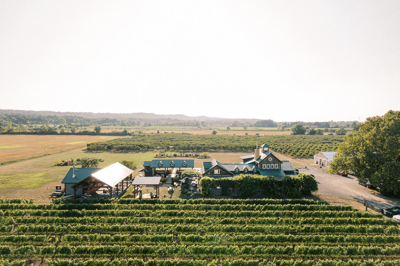 Aerial view of a lush vineyard with rows of grapevines leading to a rustic winery building with green roofs, nestled in a scenic countryside landscape under a clear sky.