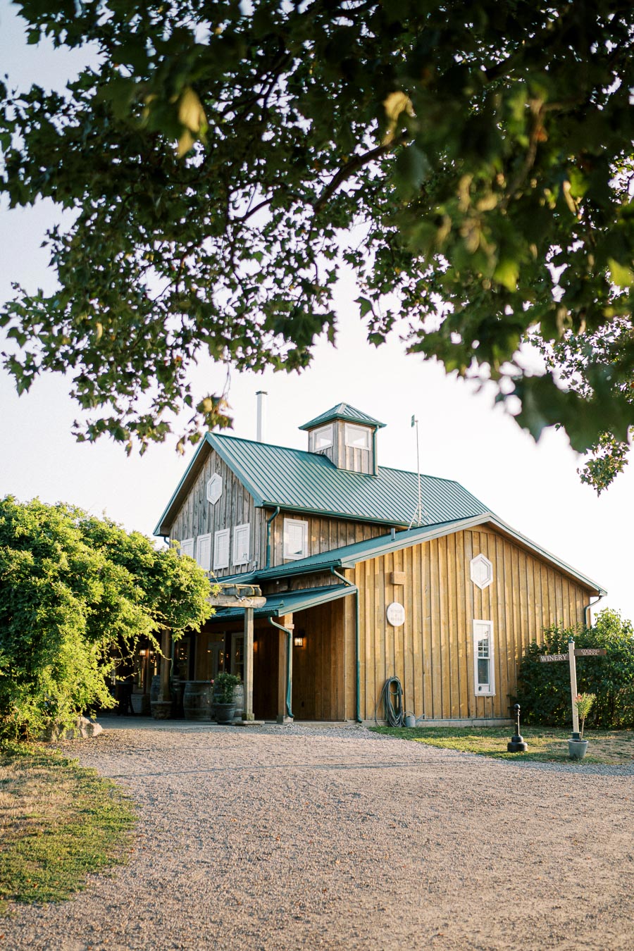 Charming rustic barn with green metal roof surrounded by lush foliage, under a clear blue sky.