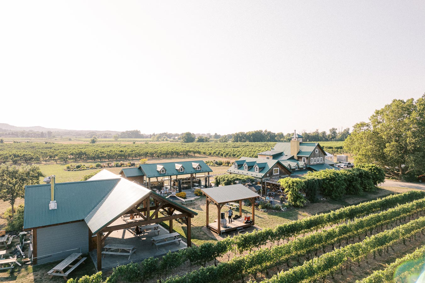 Aerial view of a scenic vineyard with rustic buildings featuring green roofs, surrounded by lush grapevines under a clear sky. Ideal setting for a winery visit or outdoor event.