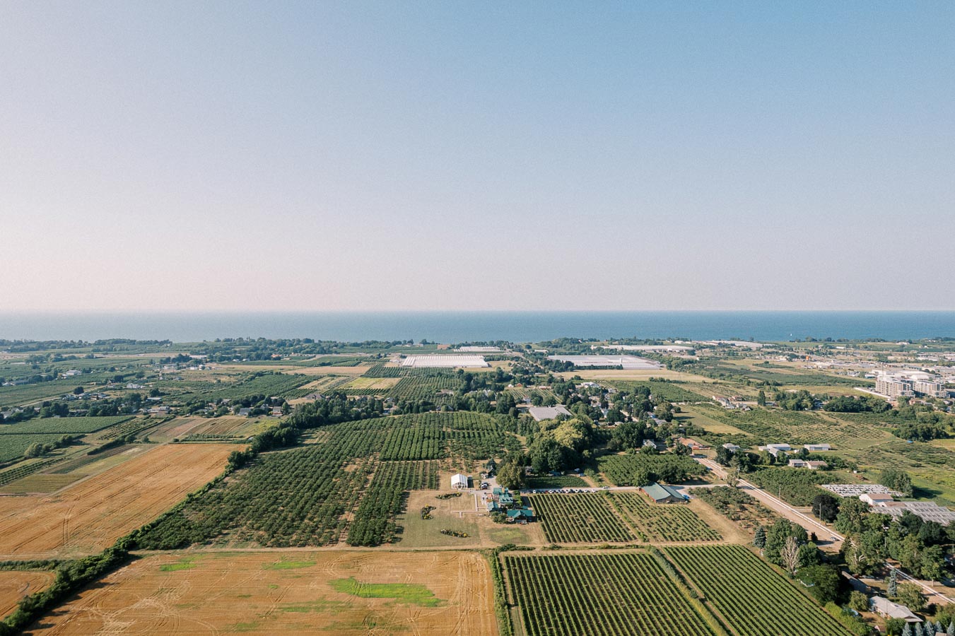Aerial view of expansive farmland and vineyard landscape near the coastline under a clear blue sky.