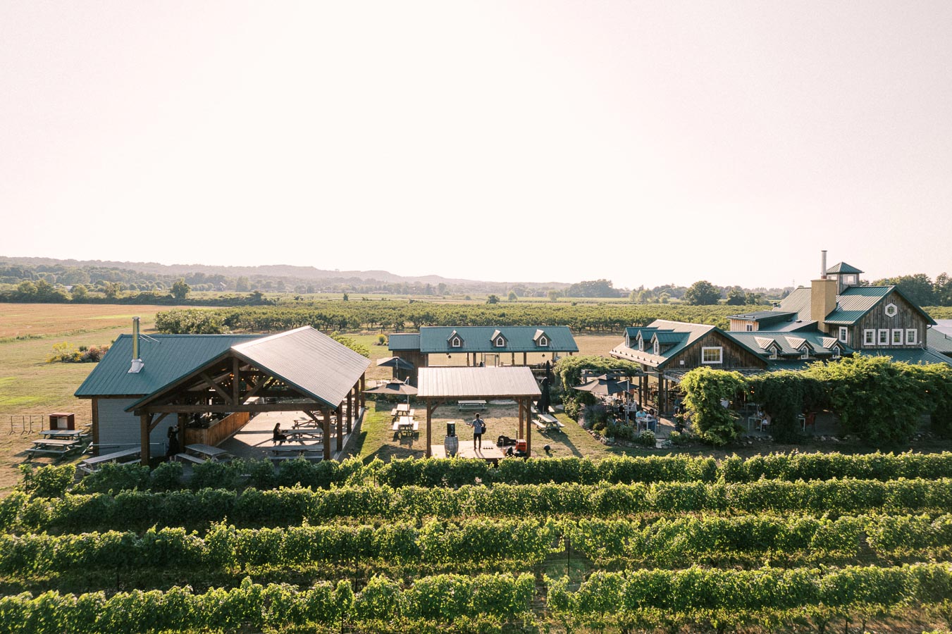 Aerial view of a vineyard estate with green vines and rustic buildings under a clear sky. Vineyard landscape with lush rows of grapevines and charming structures featuring green rooftops, highlighting the serene countryside setting.