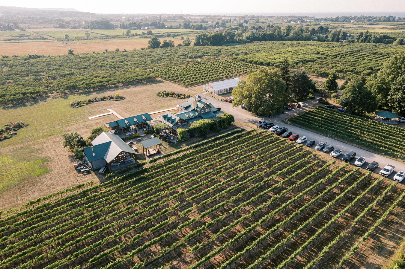 Aerial view of a sprawling vineyard landscape with rows of grapevines and a central building, surrounded by lush greenery and parked cars, showcasing a picturesque winery setting.