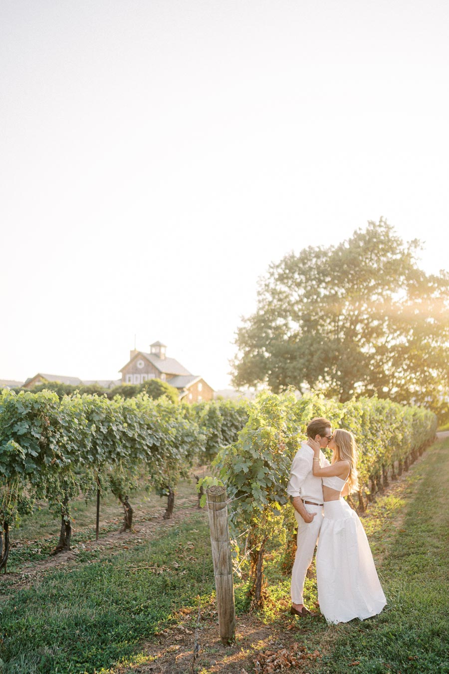 A couple embraces romantically in a sunlit vineyard, with green grapevines and a rustic building in the background. The man and woman are wearing light, elegant clothing, capturing a serene and romantic moment in nature.