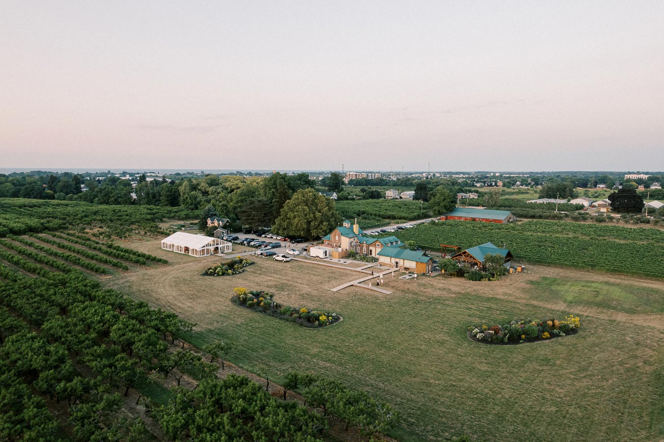 Aerial view of a lush vineyard with a charming winery and event venue surrounded by green fields under a clear sky, showcasing rows of grapevines and scenic countryside landscape.
