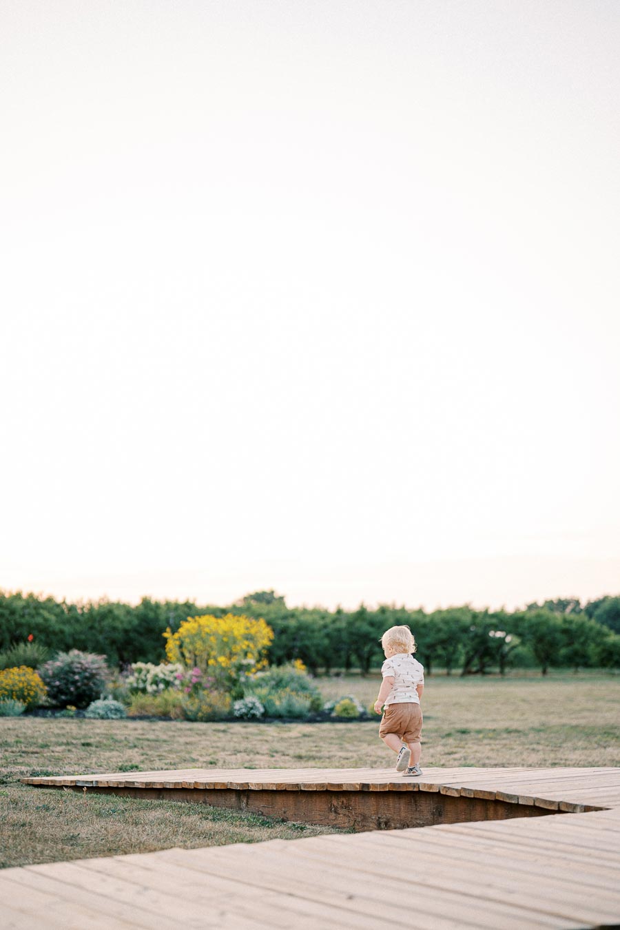 A small child walking on a wooden pathway in a scenic outdoor garden, surrounded by lush greenery and colorful flowers under a clear sky.