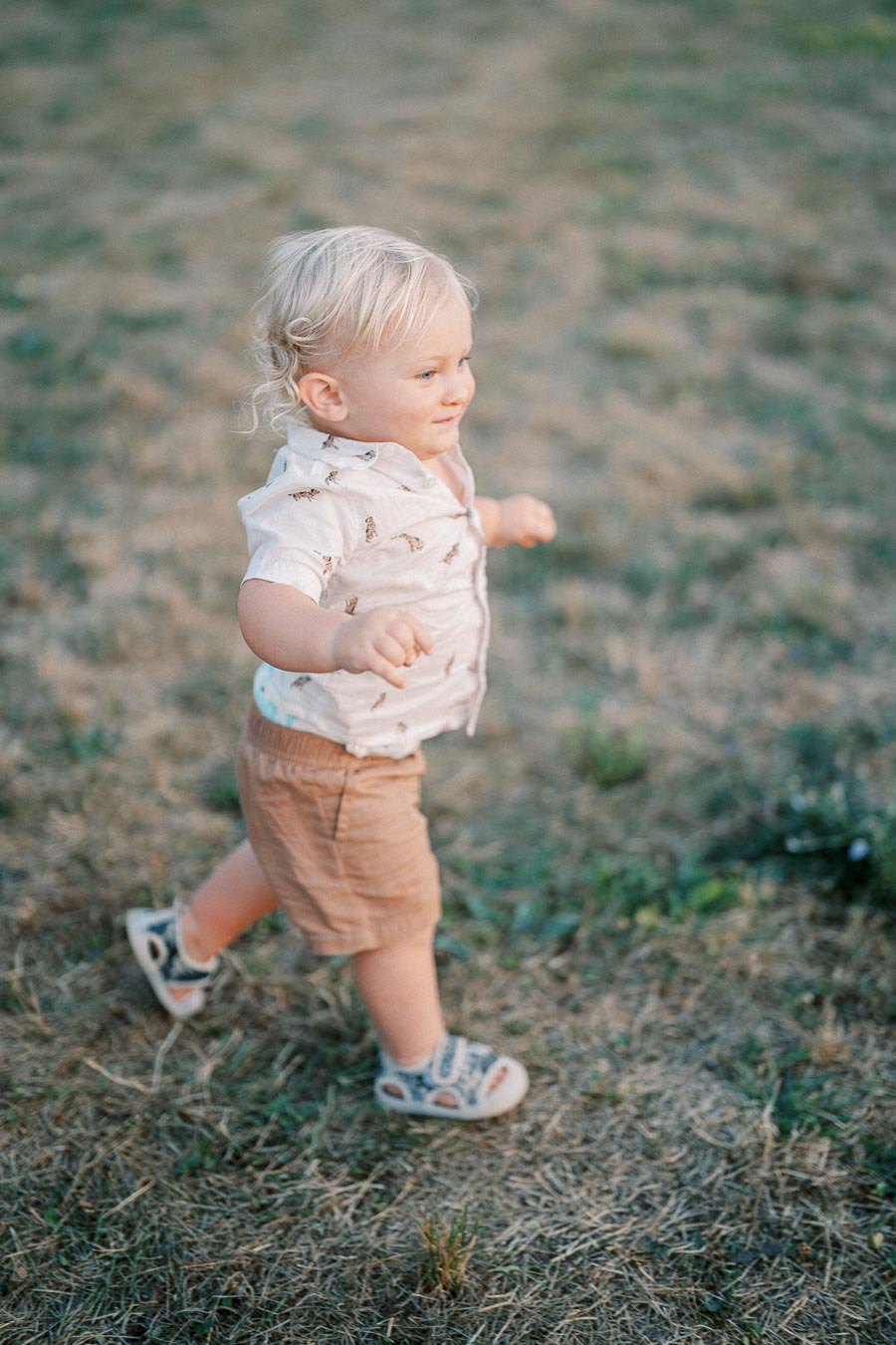 Toddler with blonde hair walking on grassy field wearing a printed shirt, brown shorts, and sandals.