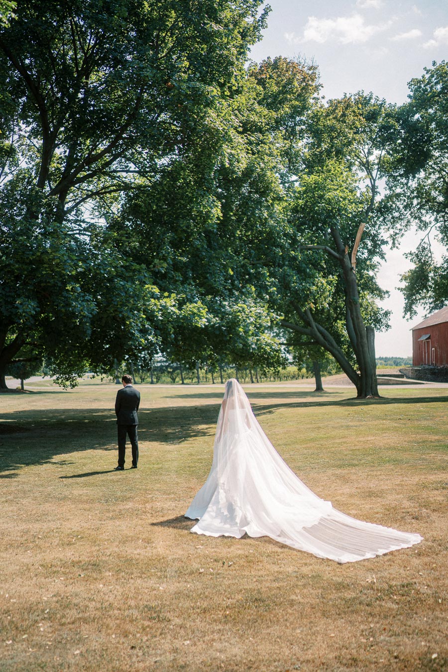 A bride in a flowing white gown and veil approaches a groom standing in a picturesque garden setting with large trees and open grassy areas, under a clear blue sky.