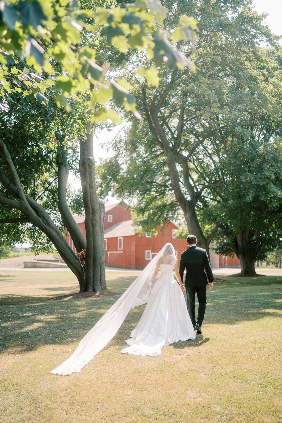 Newlywed couple holding hands and walking towards a rustic red barn, surrounded by lush green trees on a sunny day, bride in elegant white gown with long veil.