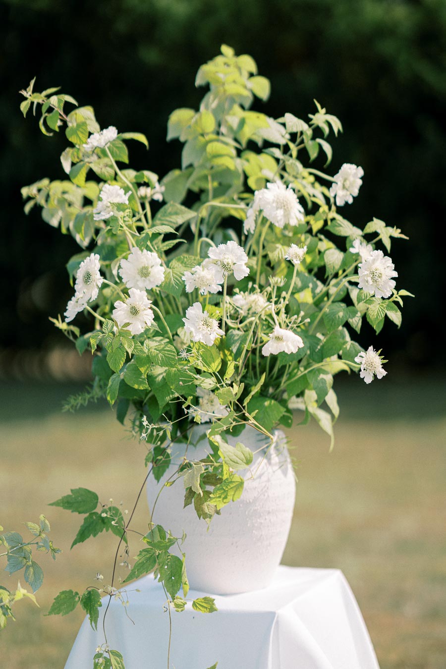 A white ceramic vase filled with lush green foliage and white flowers placed on a table covered with a white cloth, set outdoors against a blurred natural background.