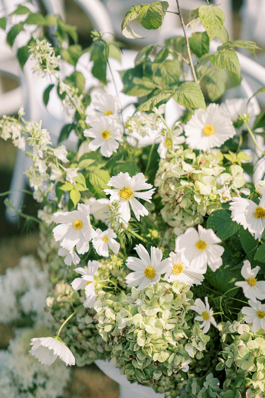 A vibrant arrangement of white daisies and green foliage cascading elegantly in a garden setting.
