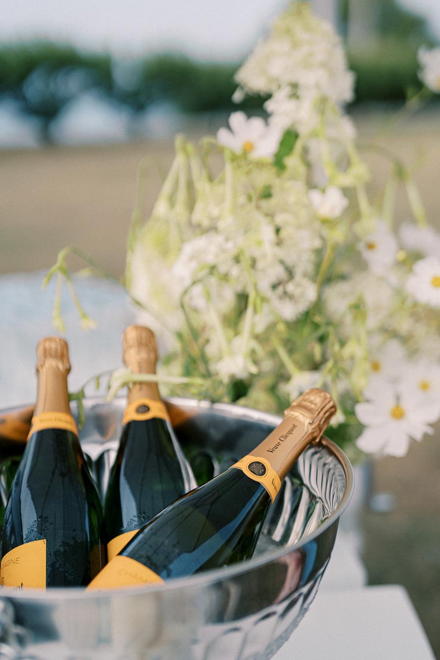 Three bottles of champagne chilling in an ice bucket with delicate white flowers in the background, creating an elegant celebration setting.