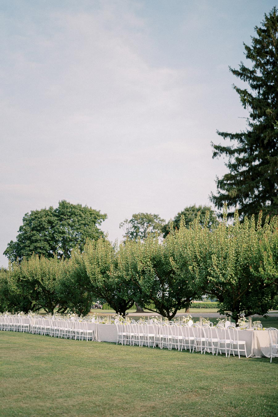 Outdoor wedding reception setup with long tables and white chairs under lush green trees on a sunny day.