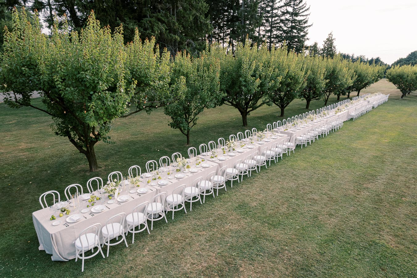 Long outdoor banquet table set under a row of lush green trees on a manicured lawn, elegantly arranged with white tablecloths and chairs, ready for an upscale garden event or wedding reception.