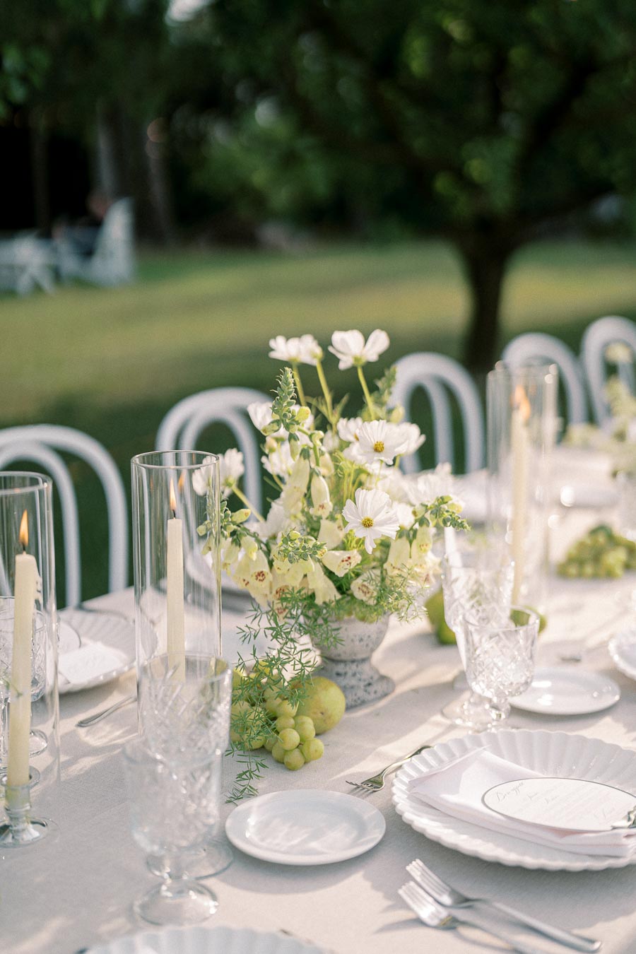 Elegant outdoor dinner table setting with white plates, crystal glassware, and tall candles, adorned with a centerpiece of white flowers and green grapes in a lush garden background.