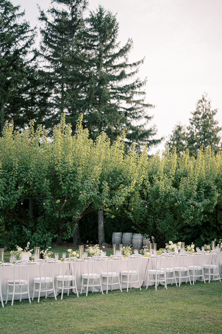 Outdoor wedding reception setup with a long banquet table adorned with white tablecloths and floral centerpieces, surrounded by white chairs on a lush green lawn, with tall trees and romantic string lights in the background.