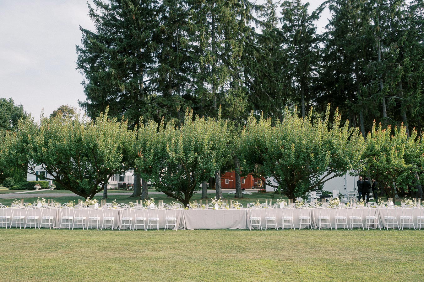 Elegant outdoor wedding reception with long dining table, white chairs, and floral centerpieces set under lush green trees.