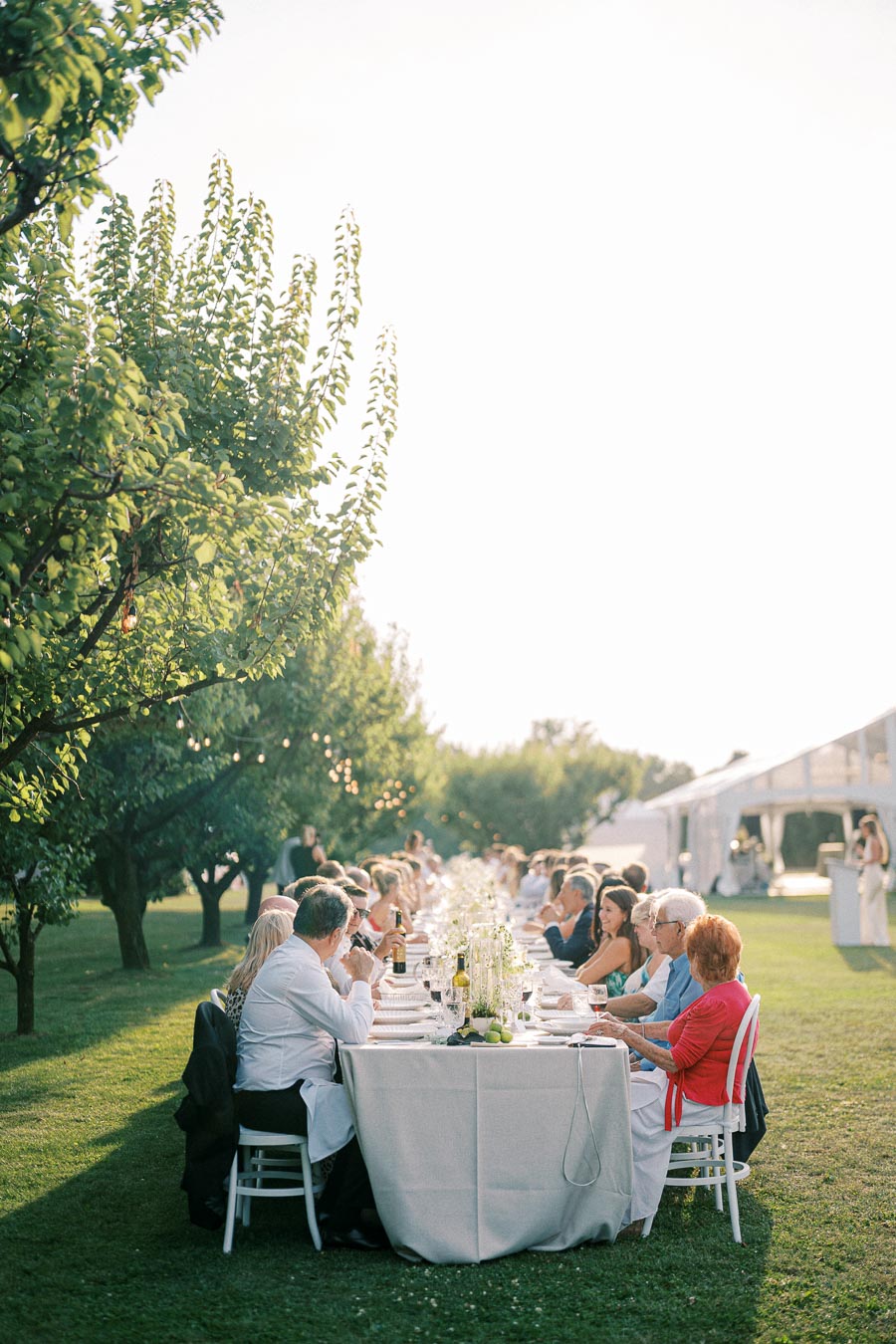 Outdoor garden party with elegantly dressed guests dining at a long table under string lights, surrounded by lush greenery and a clear sky. Perfect summer celebration setting.