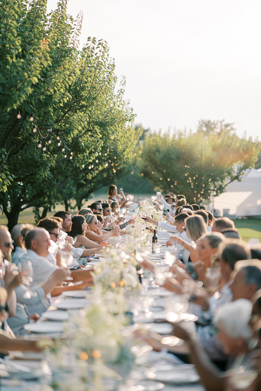 Outdoor reception with a long dining table, guests raising glasses in a toast, surrounded by lush green trees and soft ambient lighting.
