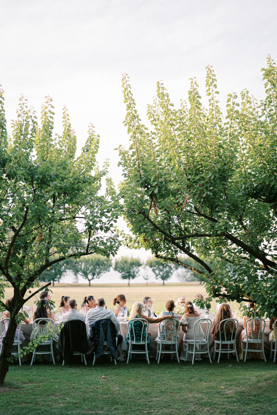 Outdoor gathering with people seated at a long table under lush green trees, enjoying a sunny day in a garden setting.