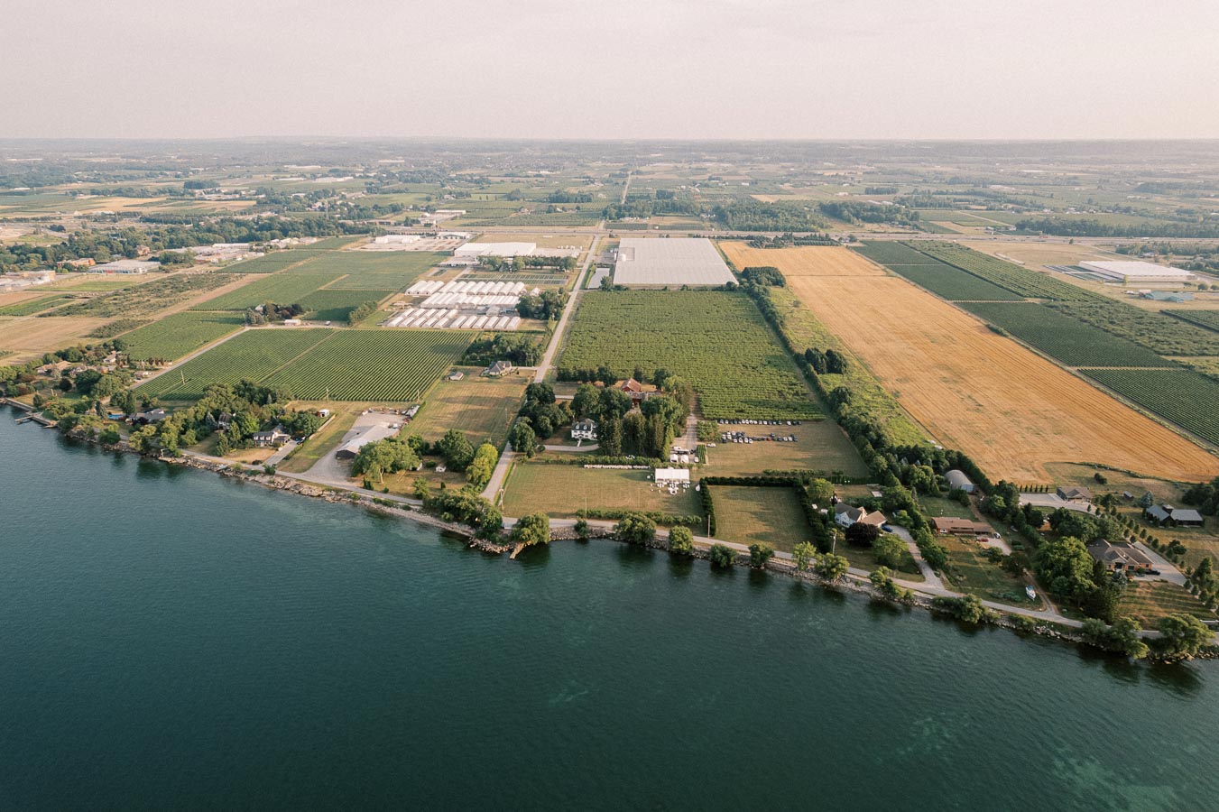 Aerial view of expansive farmland and vineyards along a lakeside in a rural landscape, showcasing lush greenery, agricultural fields, and scattered buildings under a clear sky.
