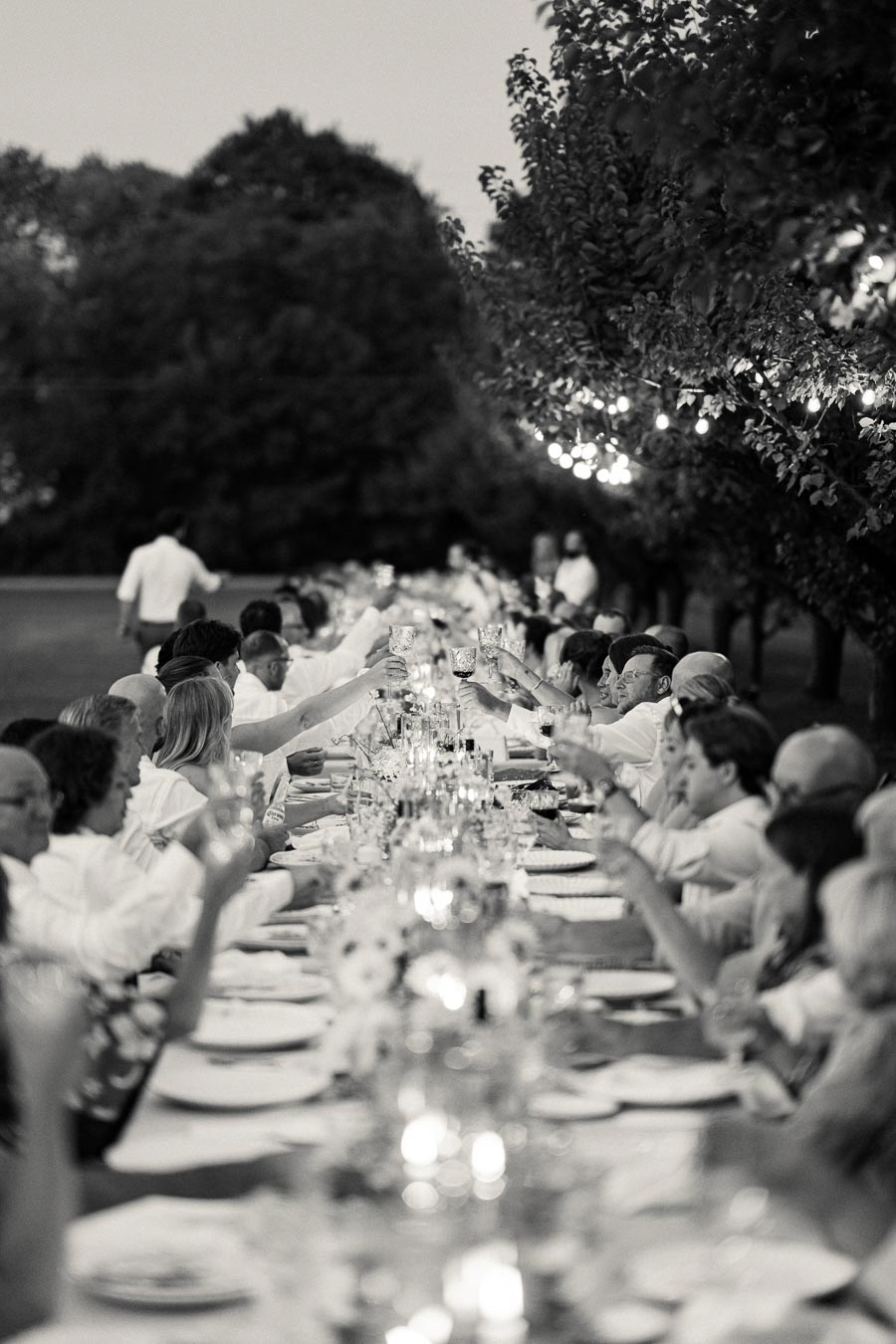 Long table with people toasting at an outdoor evening event, set under string lights and surrounded by trees.