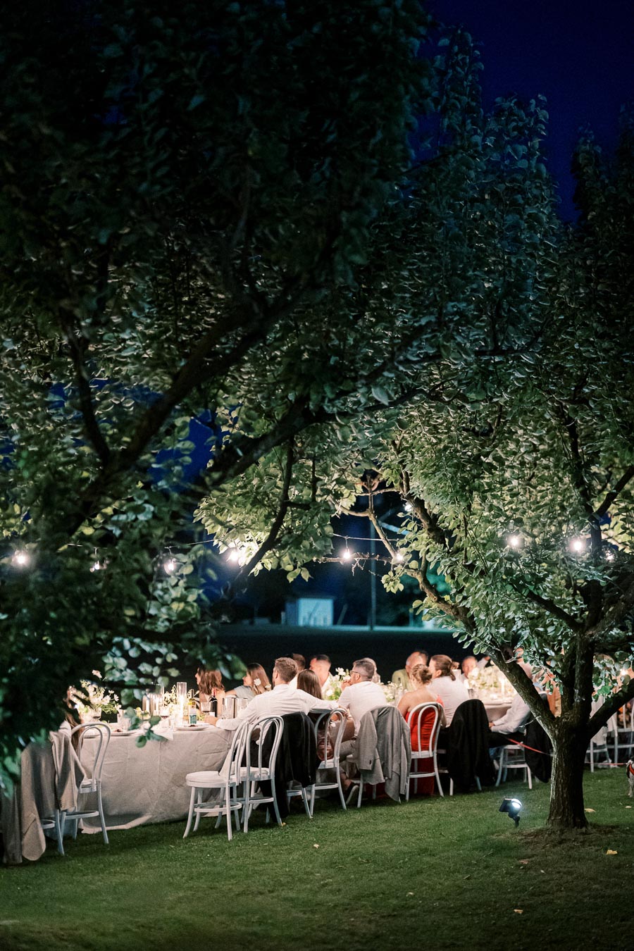 Outdoor evening dinner under trees with string lights, featuring a long table surrounded by elegantly dressed guests, set on a lush green lawn.