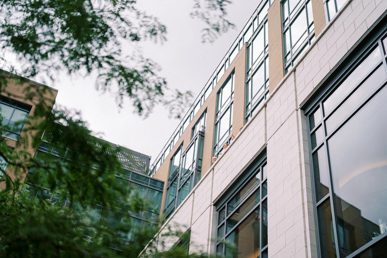 Modern building with large glass windows and architectural details, surrounded by green tree leaves, viewed from a low angle.