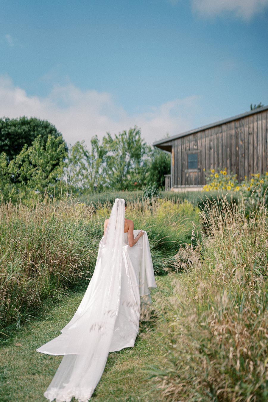 Bride walking through grassy field with long white veil, rustic wooden barn and sunflowers in background, under a blue sky.