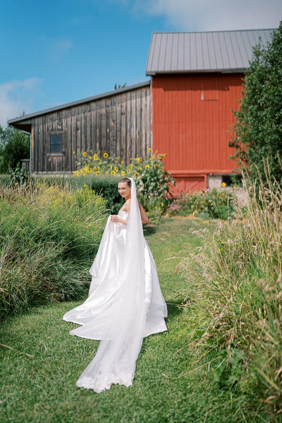 A bride in a flowing white gown and veil walks along a grassy path beside a rustic barn with red and wood paneling, surrounded by lush greenery and sunflowers under a clear blue sky.