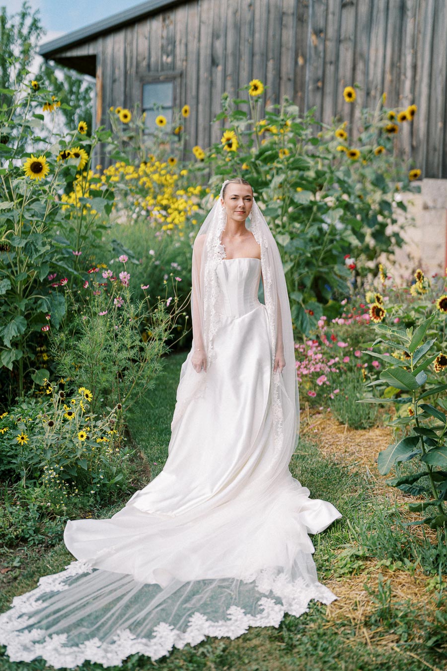 Bride in elegant white wedding dress with long lace train, standing in a lush garden with sunflowers and wildflowers, rustic wooden barn in the background.