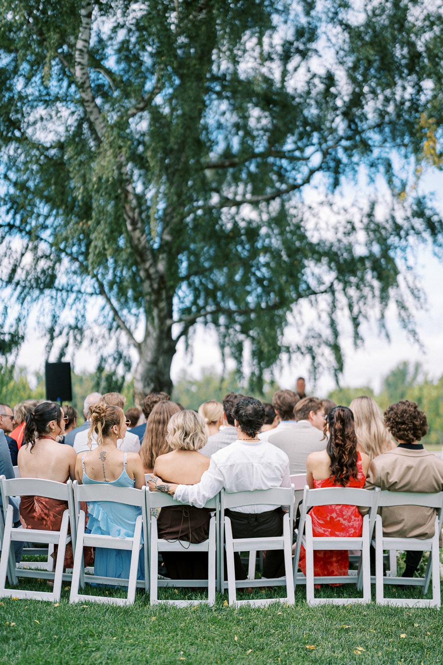 Outdoor wedding ceremony with guests seated on white chairs, surrounded by greenery and a large tree in the background, under a clear blue sky.