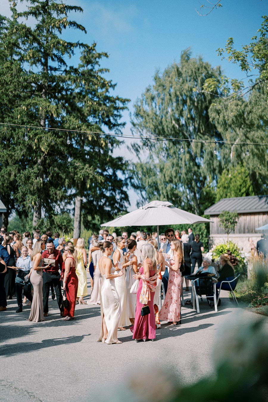 Outdoor wedding reception with elegantly dressed guests mingling under a sunny blue sky, surrounded by lush greenery and rustic decor.