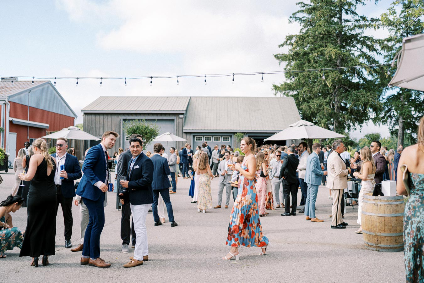 Outdoor wedding reception with well-dressed guests mingling near rustic barns and string lights, featuring elegant outfits and festive atmosphere.