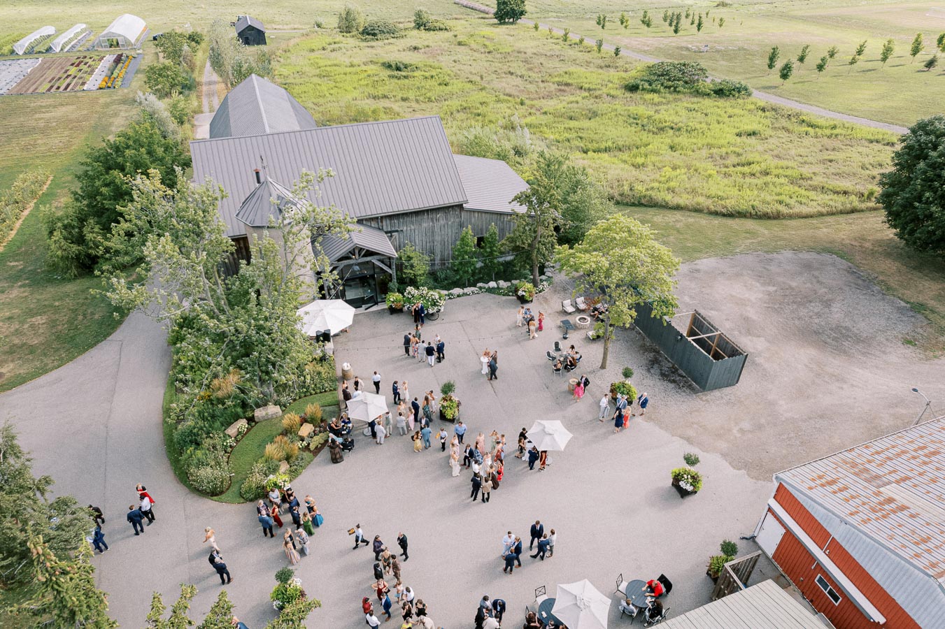 Aerial view of a rustic wedding venue with a gathering of guests outdoors, surrounded by lush green fields and gardens. The scene captures a countryside ambiance with a charming barn, event setup with parasols, and elegant attendees enjoying the celebration.