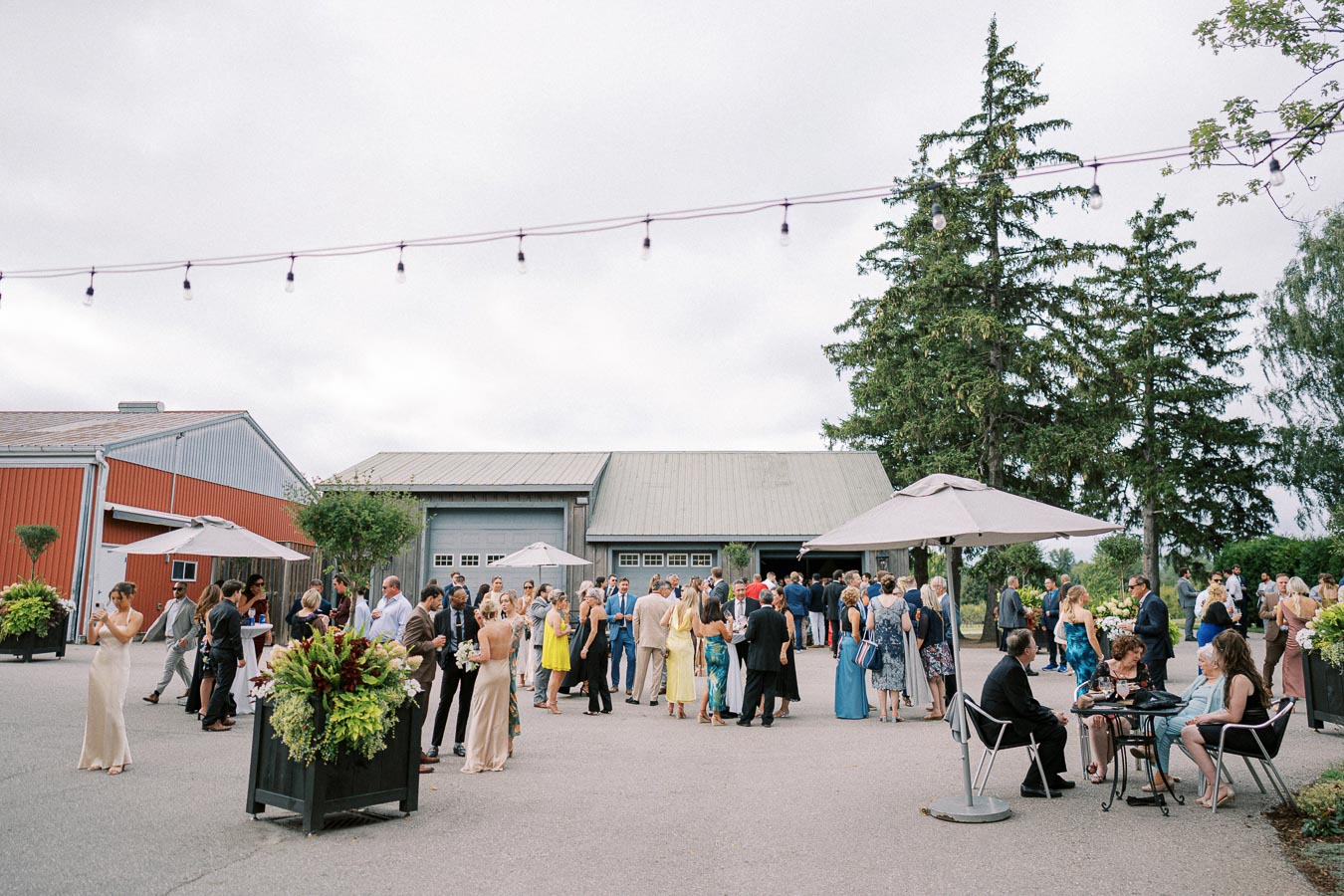 Outdoor wedding reception at a rustic venue with guests mingling under string lights and umbrellas, surrounded by lush green trees and decorative plants.