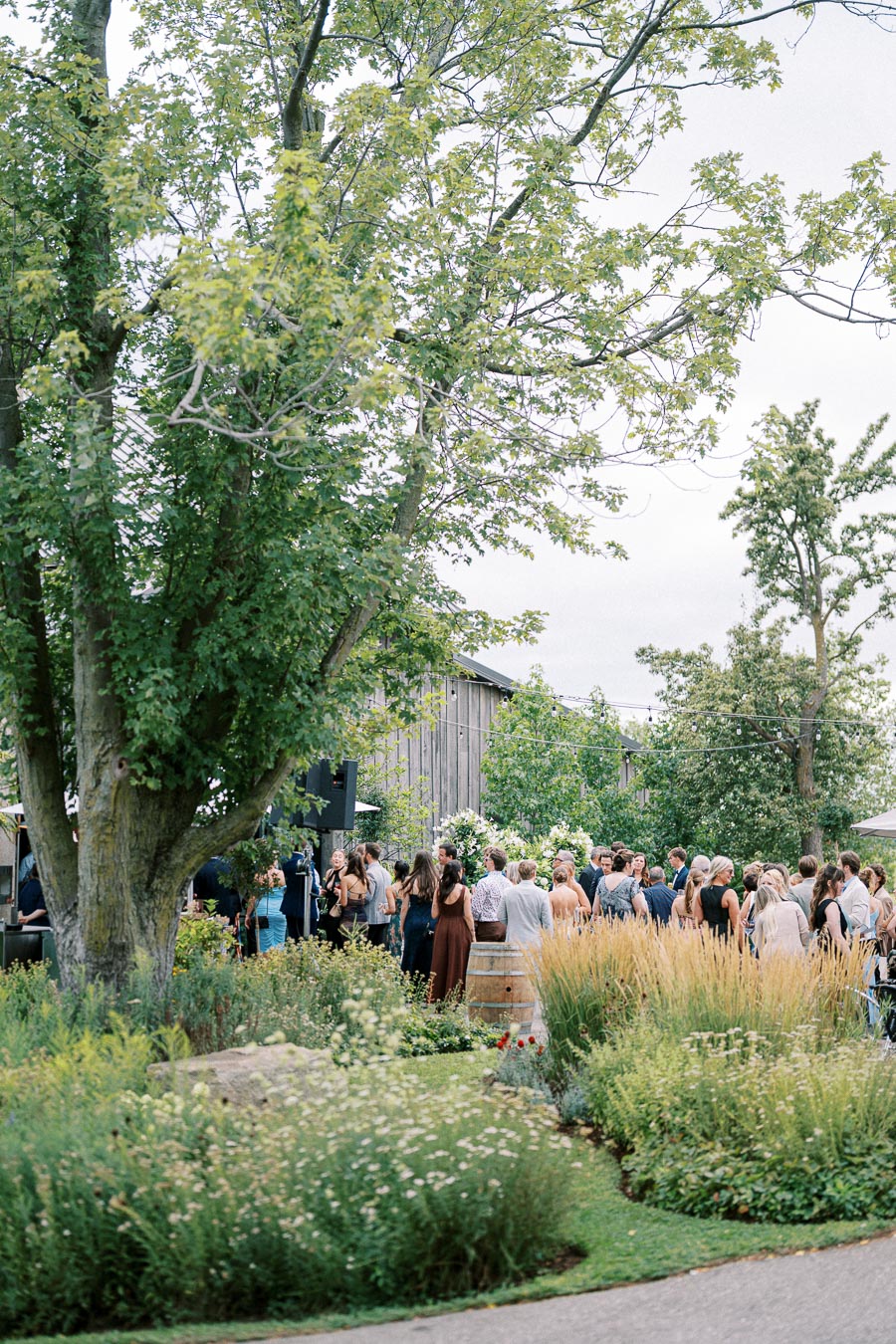 Outdoor wedding reception with a group of people mingling in a lush garden setting, surrounded by greenery and tall trees, near a rustic wooden building.