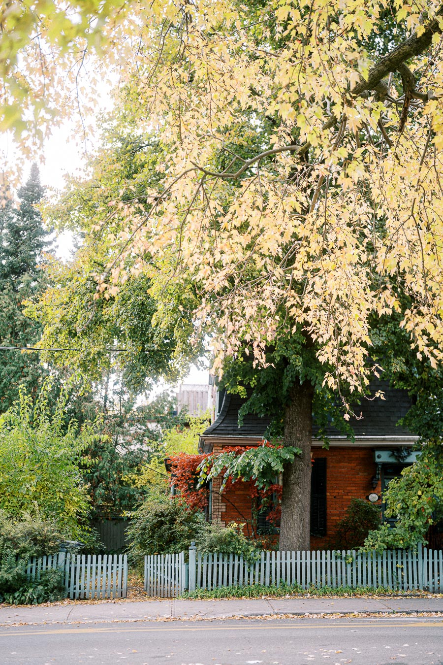 A charming red-brick house surrounded by lush greenery and autumn leaves, featuring a gray picket fence and a large tree in the front yard.