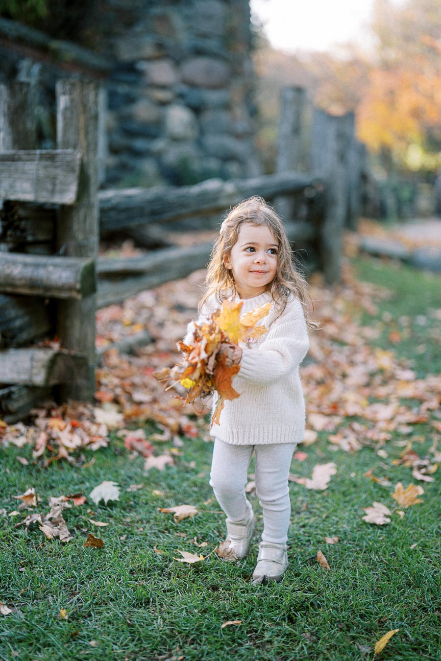 Young child in a cozy sweater holding colorful autumn leaves, standing on a grass-covered path lined with rustic wooden fencing and fallen leaves, during a picturesque fall day.