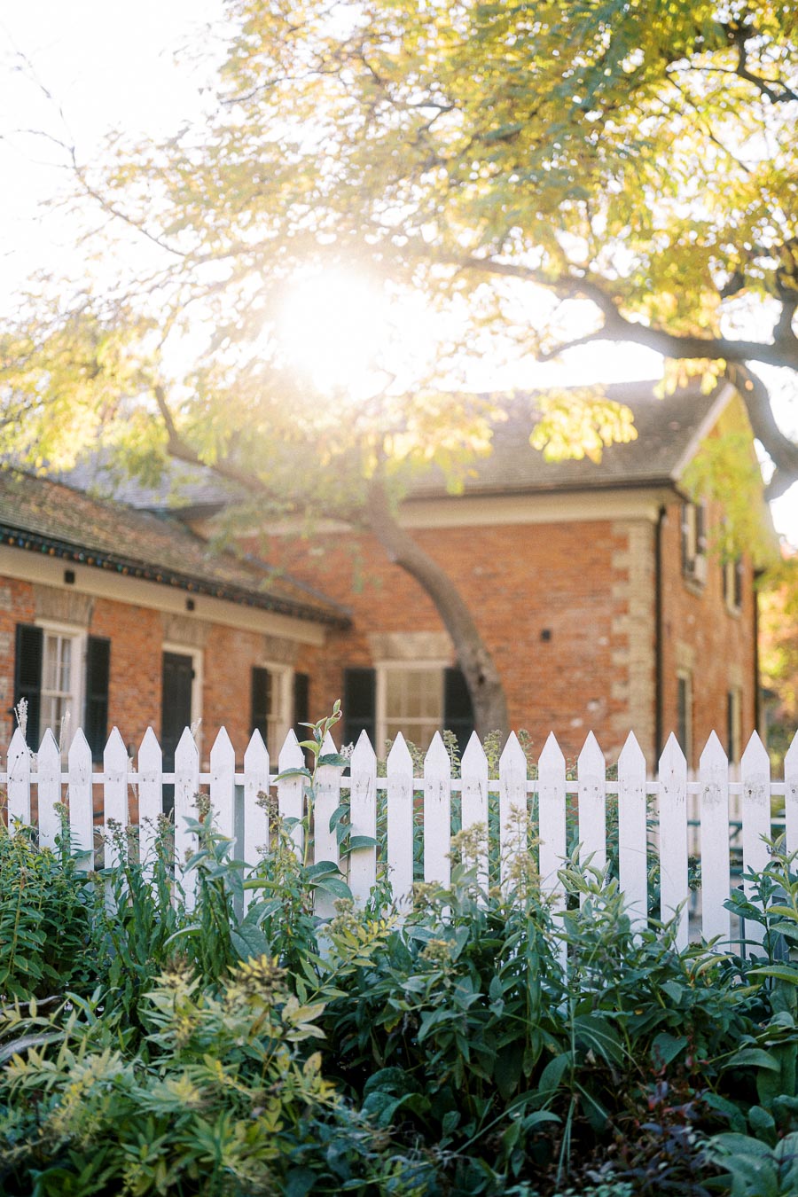 Sunlit brick house with white picket fence and green plants in the foreground, emphasizing peaceful suburban living