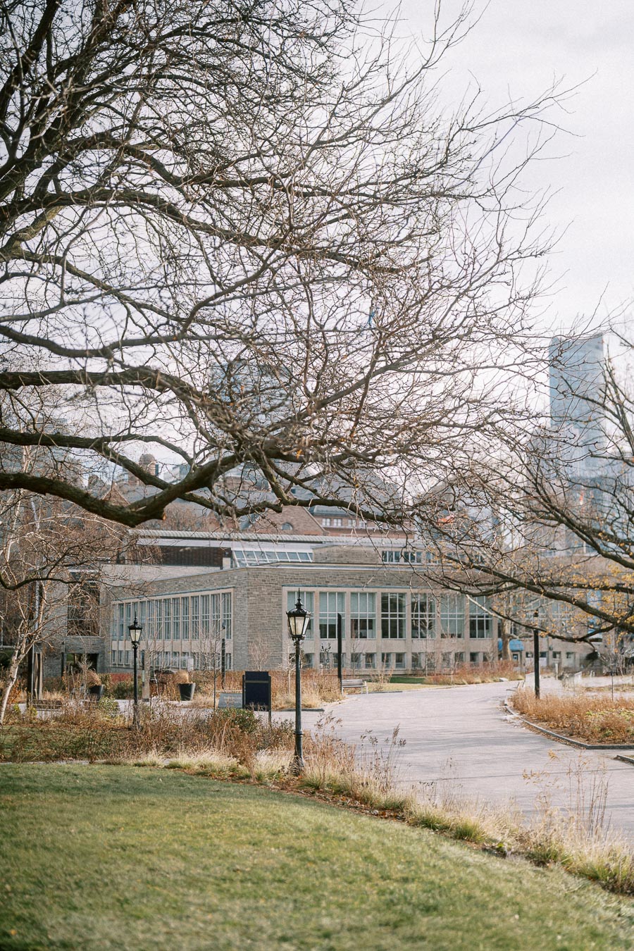 Serene winter campus scene with bare trees, a modern building, and a winding path, under an overcast sky.