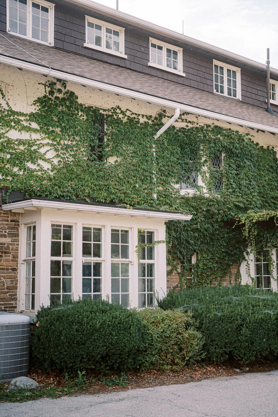 Charming ivy-covered brick house exterior with white framed windows and lush garden shrubs on a sunny day.