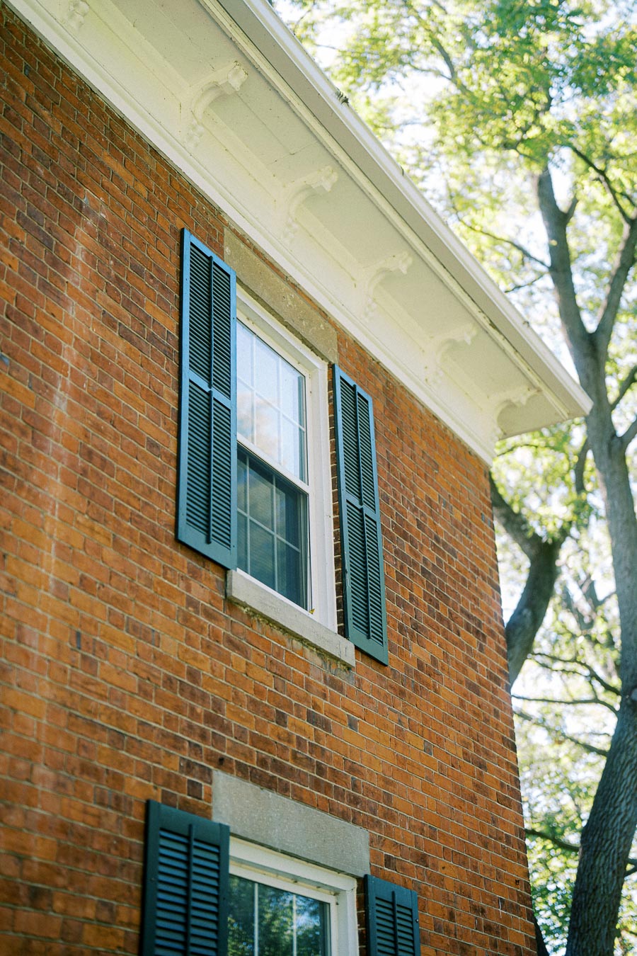 Close-up of a brick building facade with blue shutters and a window, surrounded by greenery on a sunny day.