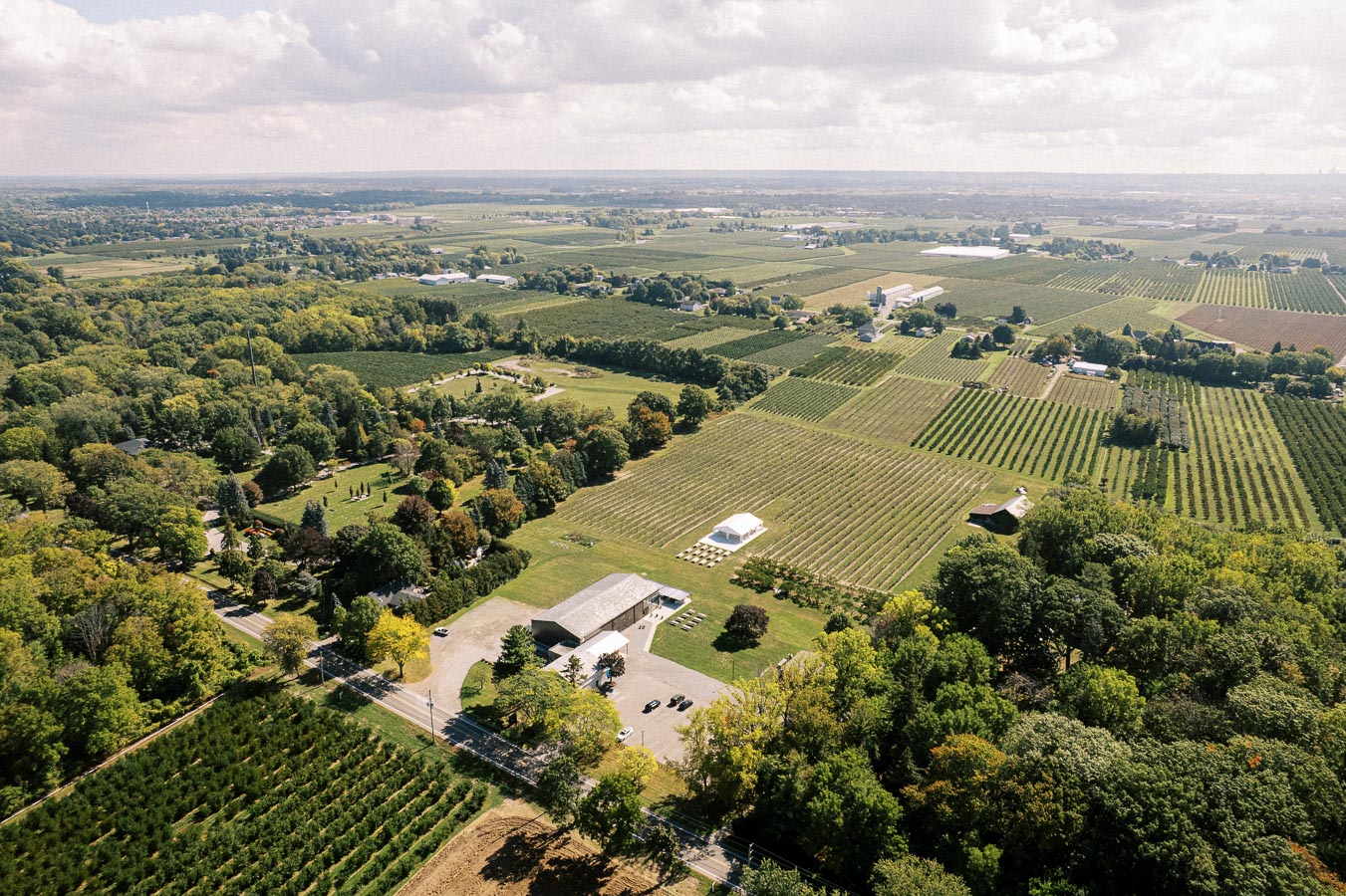 Aerial view of expansive vineyard landscape with neatly arranged rows of grapevines, surrounded by lush green trees and countryside under a partly cloudy sky.