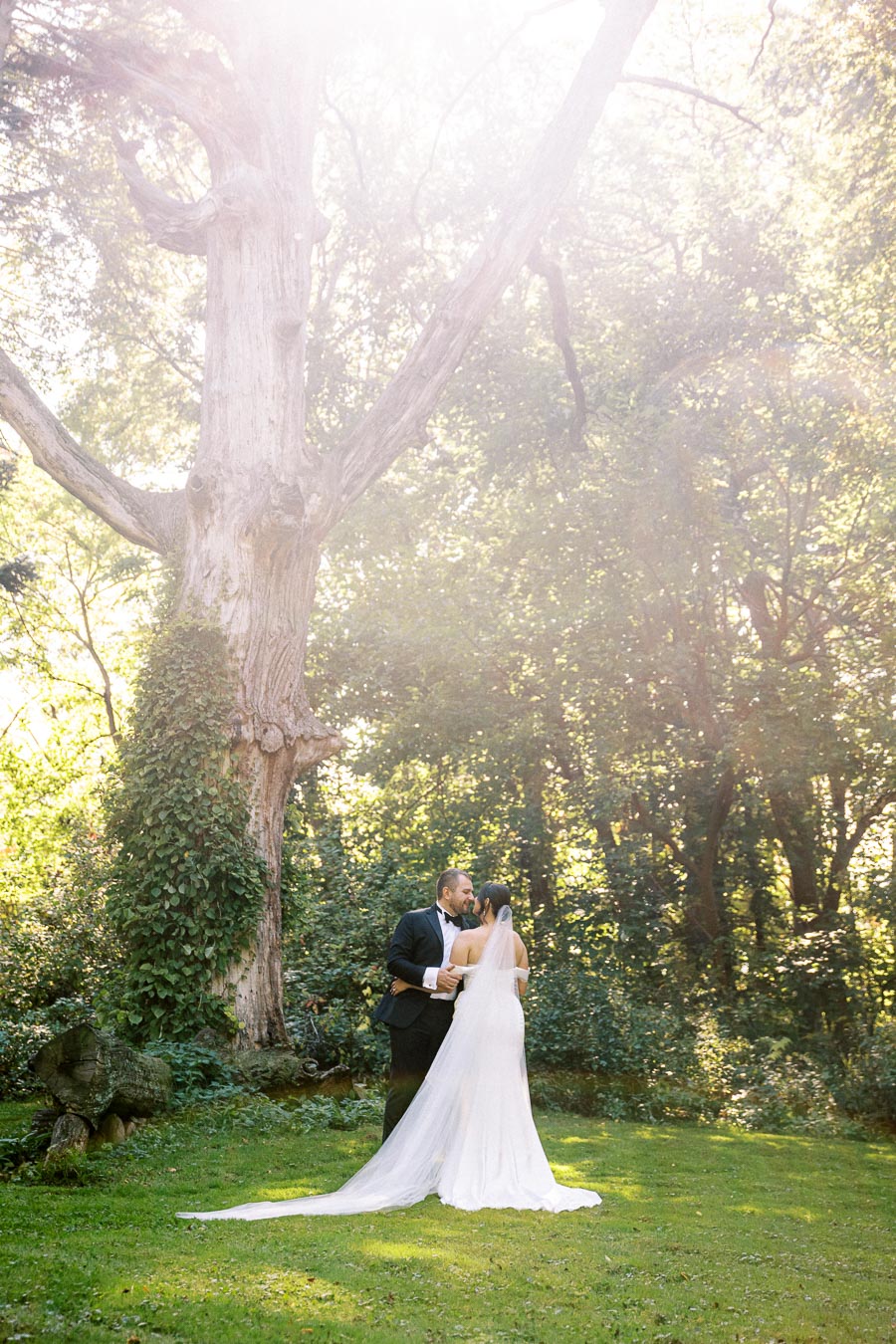 A bride and groom embrace under a large, ancient tree in a sunlit forest setting, capturing a romantic outdoor wedding moment.