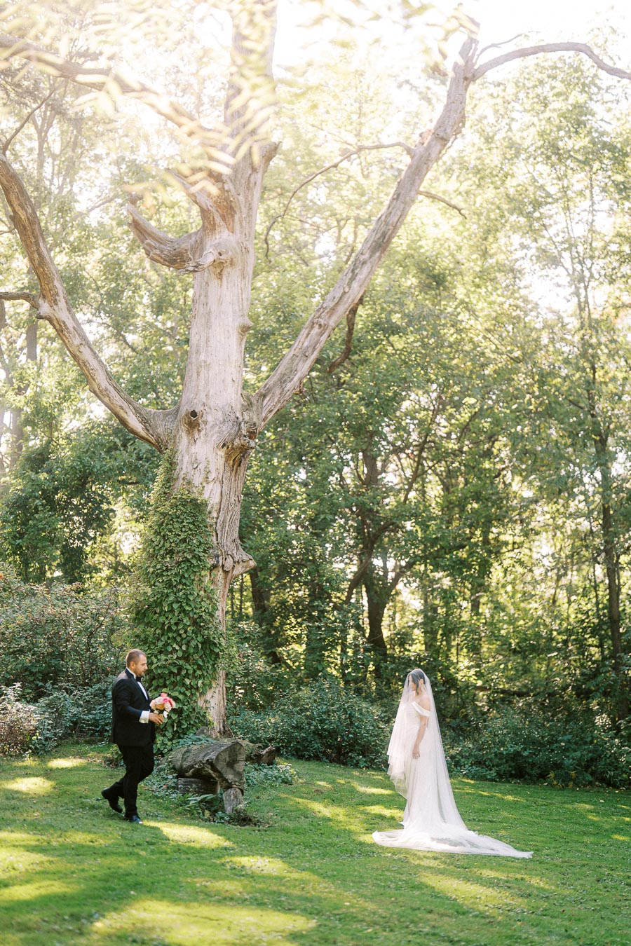 Bride and groom having outdoor wedding photoshoot under large tree in sunlit forest.